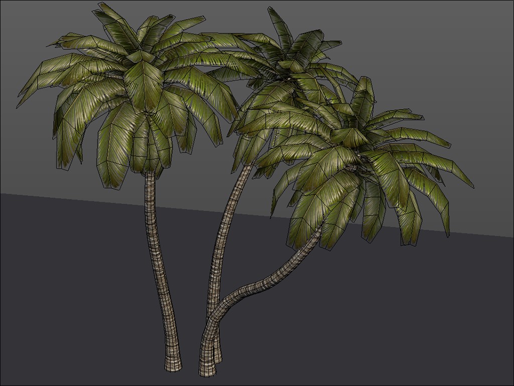 3 Palm Trees (Low Poly + LoD) preview image 2